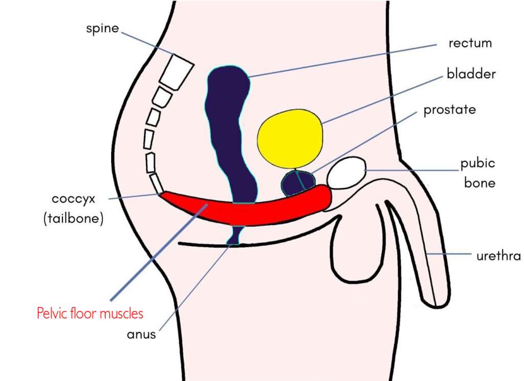 Treatment for Weak Erection